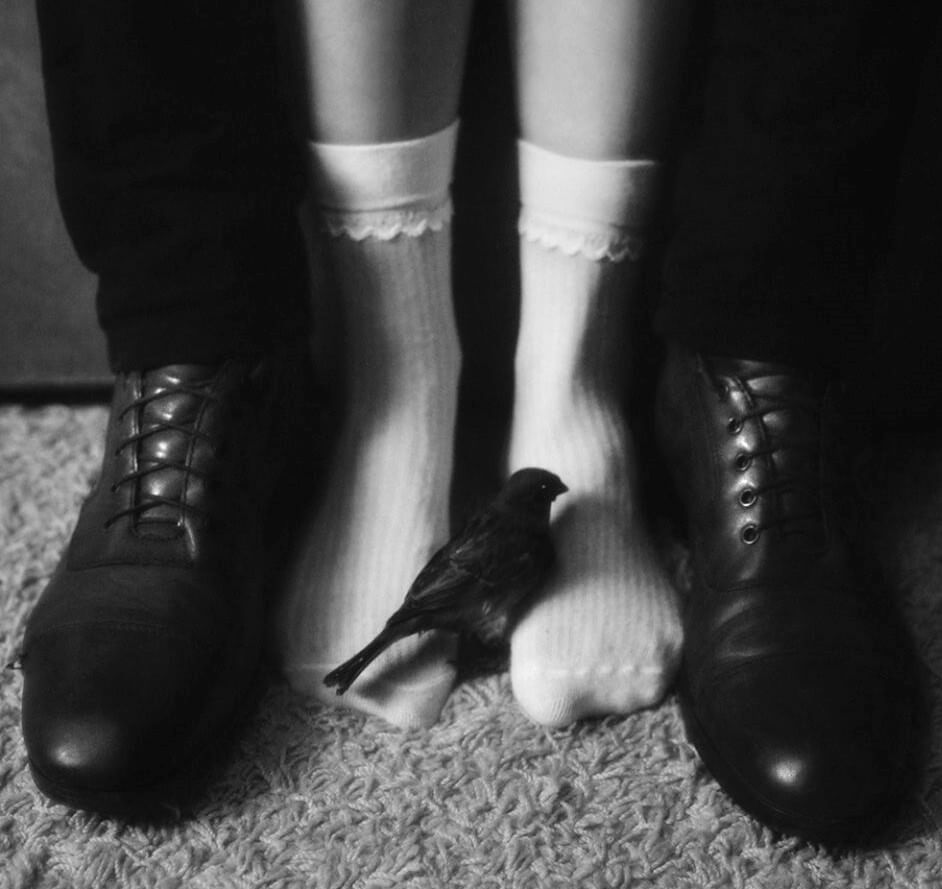 11218216_1004709206226918_6618406267609408507_n