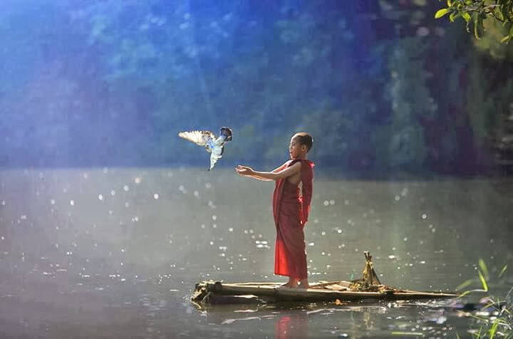 b0616-monjebotepajarito