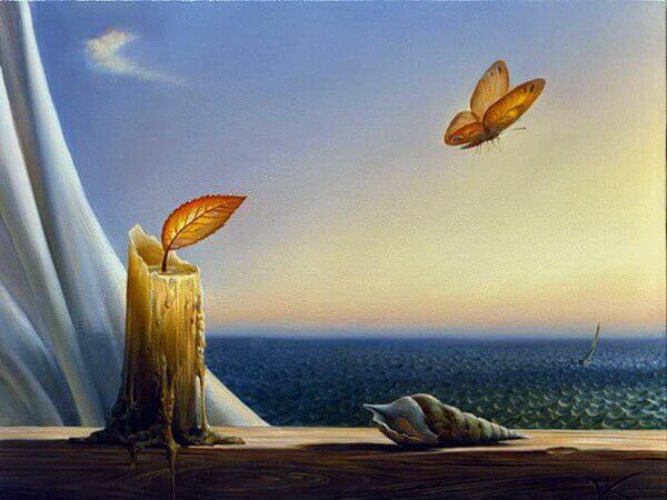 Vela y mariposa con curiosidad
