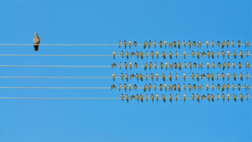 5 actitudes comunes de los grandes pensadores