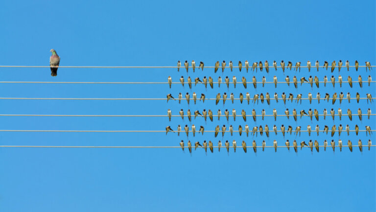 5 actitudes comunes de los grandes pensadores