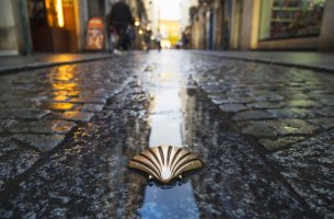 Camino de santiago