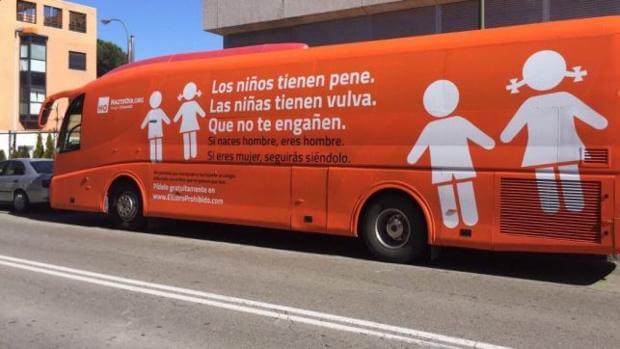 Autobús