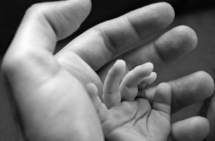 Manos unidas de padres e hijos