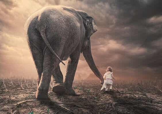Niña con elefante representando el acto de aprender a ser perseverantes