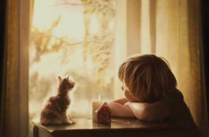 Niño con gato
