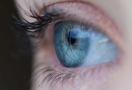 La pupila, esencial en el lenguaje de los ojos