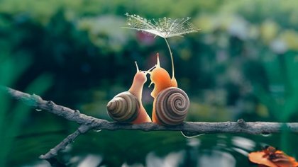 Las tendencias slow: más lento es mejor…