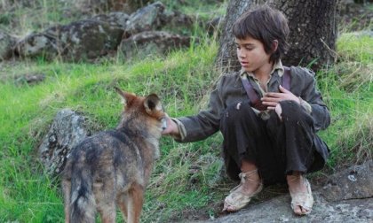 Entre lobos: la historia del niño que sobrevivió en mitad de la naturaleza