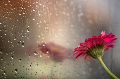 La lluvia también es hermosa