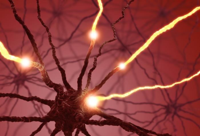 ¿Sabes qué es la serotonina y qué efectos tiene en tu cuerpo?