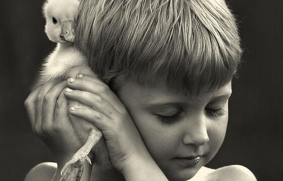 child with duckling