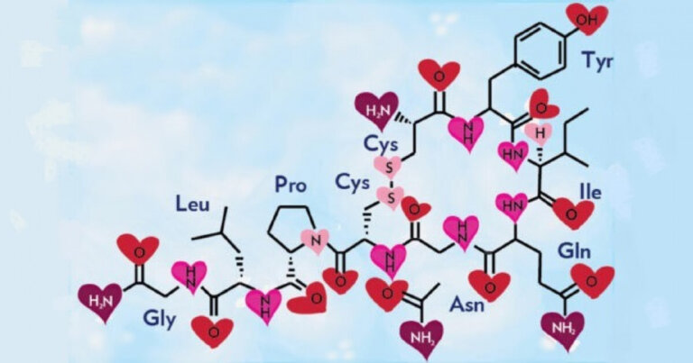 Oxitocina, la hormona del amor y la felicidad