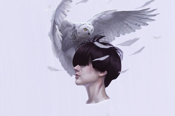 chico con buho en la cabeza representando la personalidad resistente