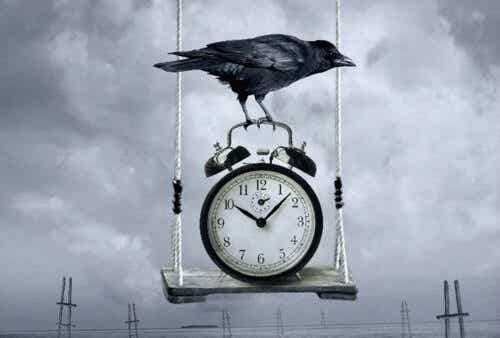 bird on clock