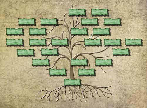 Dibujo de un árbol genealógico