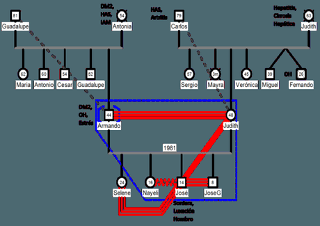 A computer genogram.