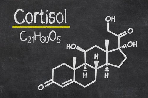 Fórmula química del cortisol, y clave del estrés, un aspecto que reduce el simple hecho de beber agua tibia con limón por las mañanas