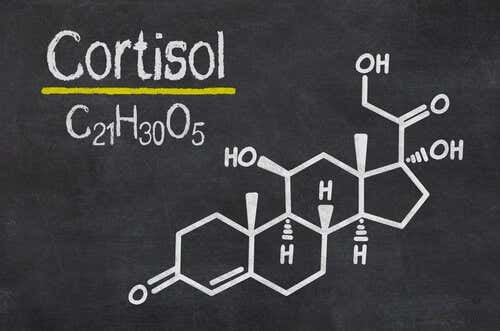 FÃ³rmula quÃ­mica del cortisol, y clave del estrÃ©s, un aspecto que reduce el simple hecho de beber agua tibia con limÃ³n por las maÃ±anas