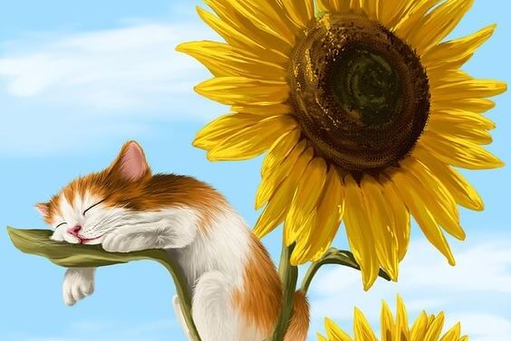 Gato entre girasoles