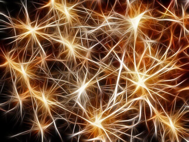 Neuronas en el cerebro