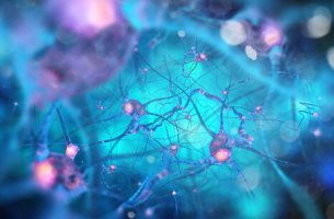 Neuronas