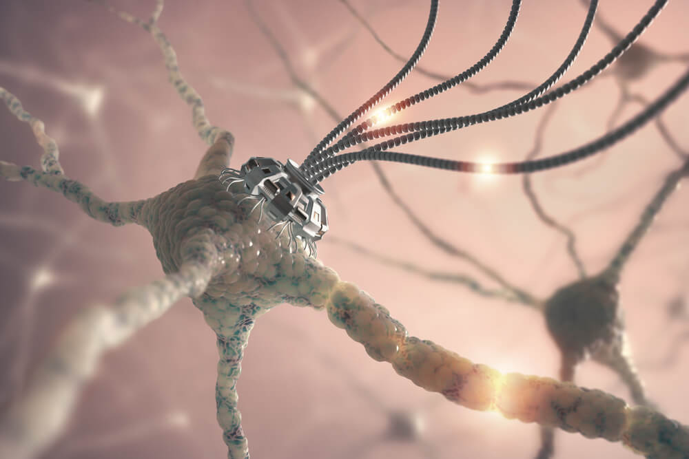 Neuronas