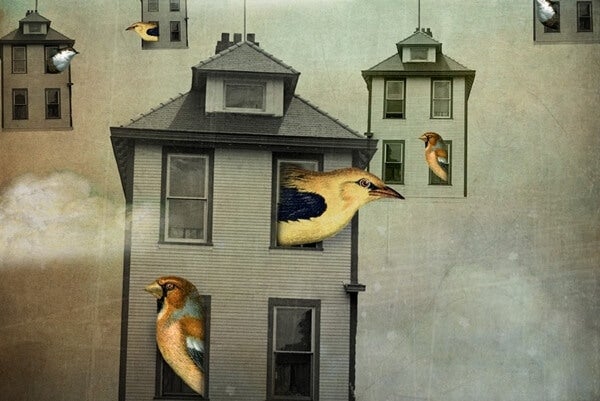 Pájaros representando el narcisismo colectivo