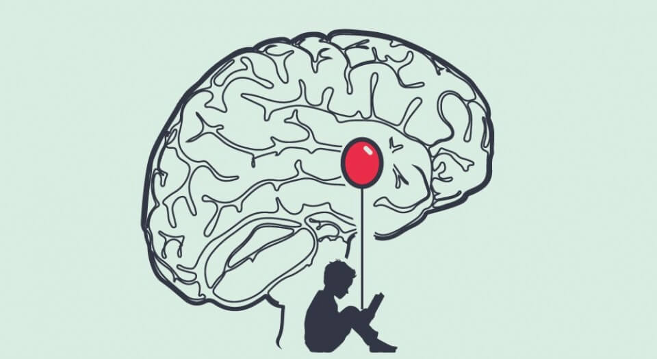 amygdala