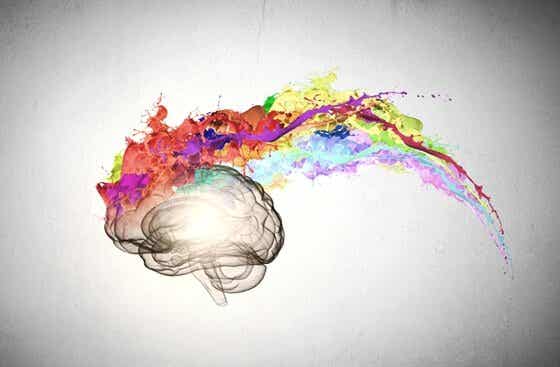 Cervello con colori che simulano l'intelligenza emotiva.