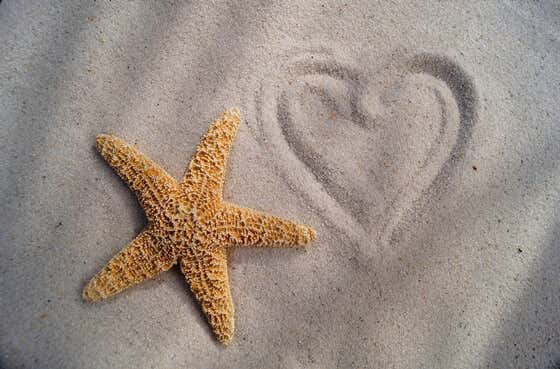 estrela do mar na areia ao lado de um coração