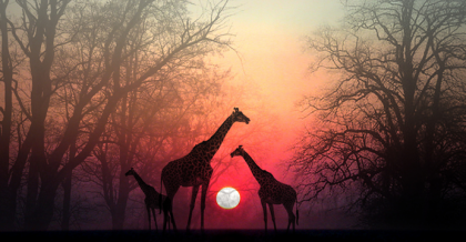 “Dale un momento a tu alma para que te alcance”, un hermoso relato africano