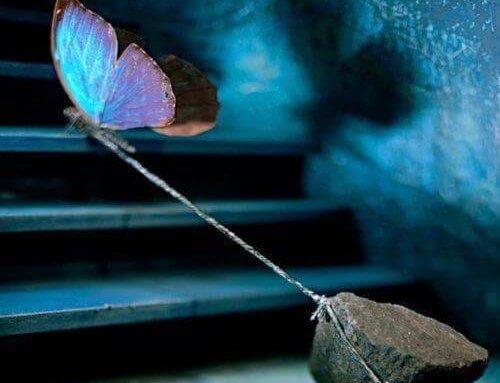 Mariposa atada simbolizando estrés