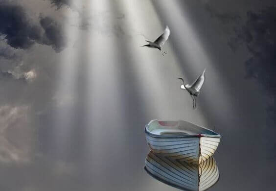 Pájaros volando