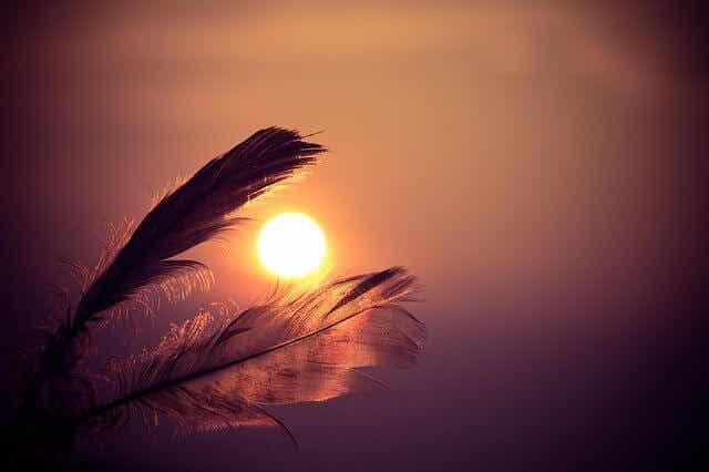 plumas rodeando el sol del atardecer representando el relato africano