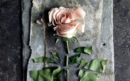 La violencia pasiva: heridas profundas que parecen superficiales