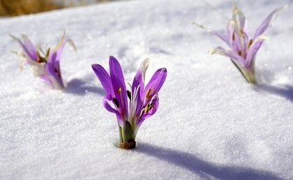 "Sisu", la receta finlandesa para los momentos difíciles