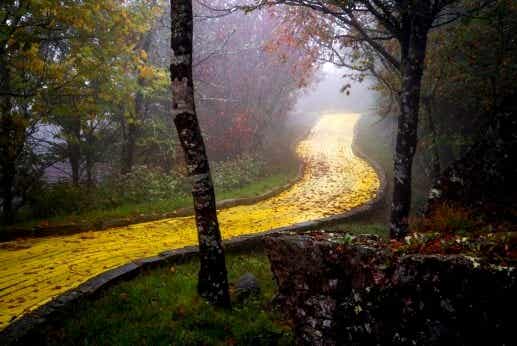 Camino de baldosas amarillas