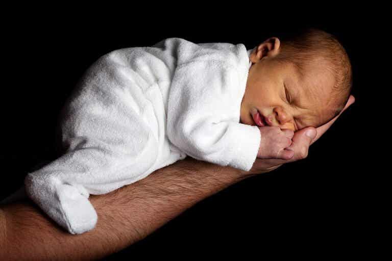 Bebé dormido sobre un brazo
