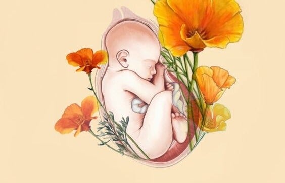 bebé en un útero con flores