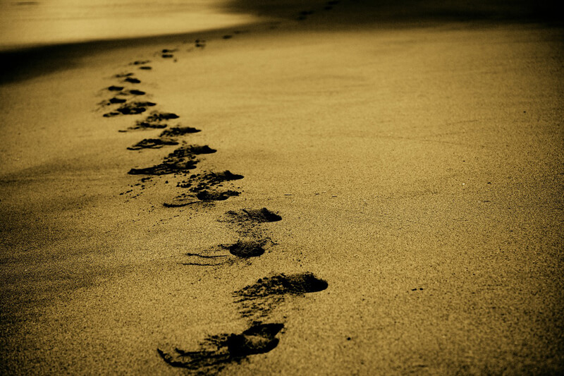 Caminar por la vida