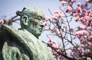 Figura de viejo samurái con árbol de flores rosas