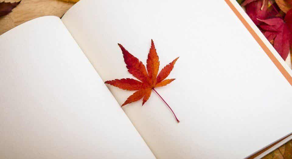 Libro con hojas en blanco y una hoja de un árbol entre ellas