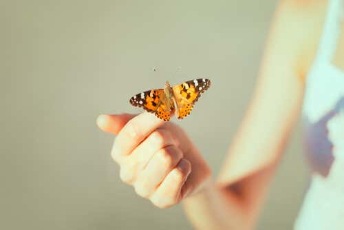 mano con mariposa simbolizando la psicología del perdón