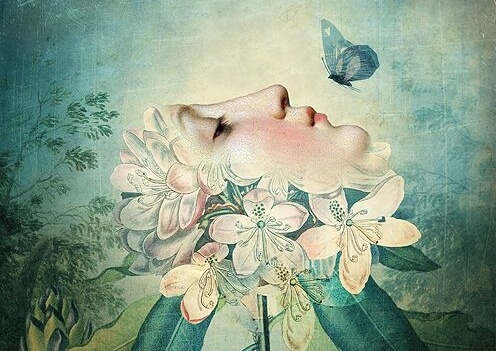 mariposa sobre rostro femenino