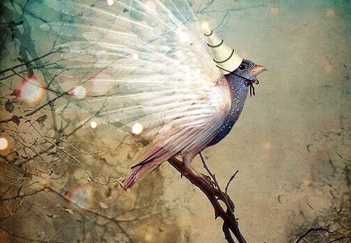 Pájaro con cono en la cabeza