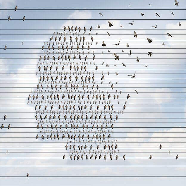 Pájaros haciendo la forma de una cabeza humana