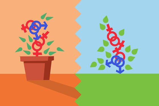 Símbolos de mujer y hombre