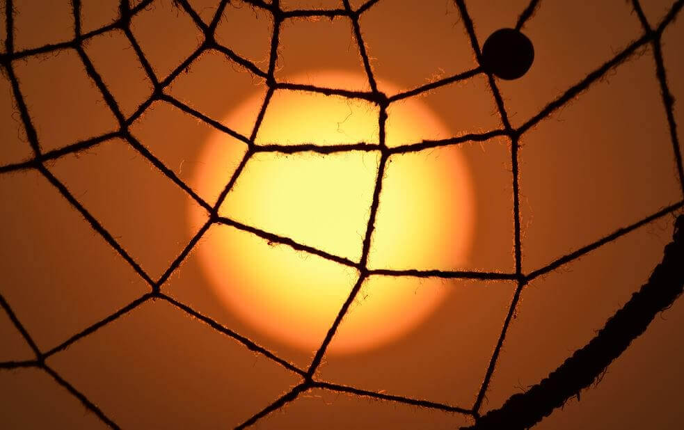 거미줄