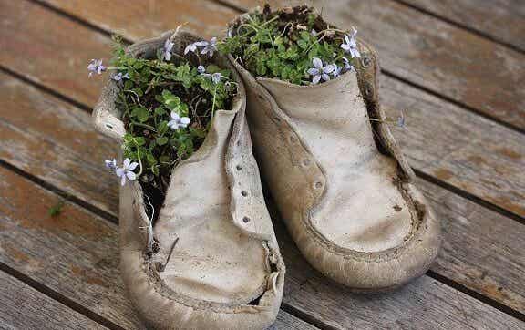 zapatos viejos con flores dentro